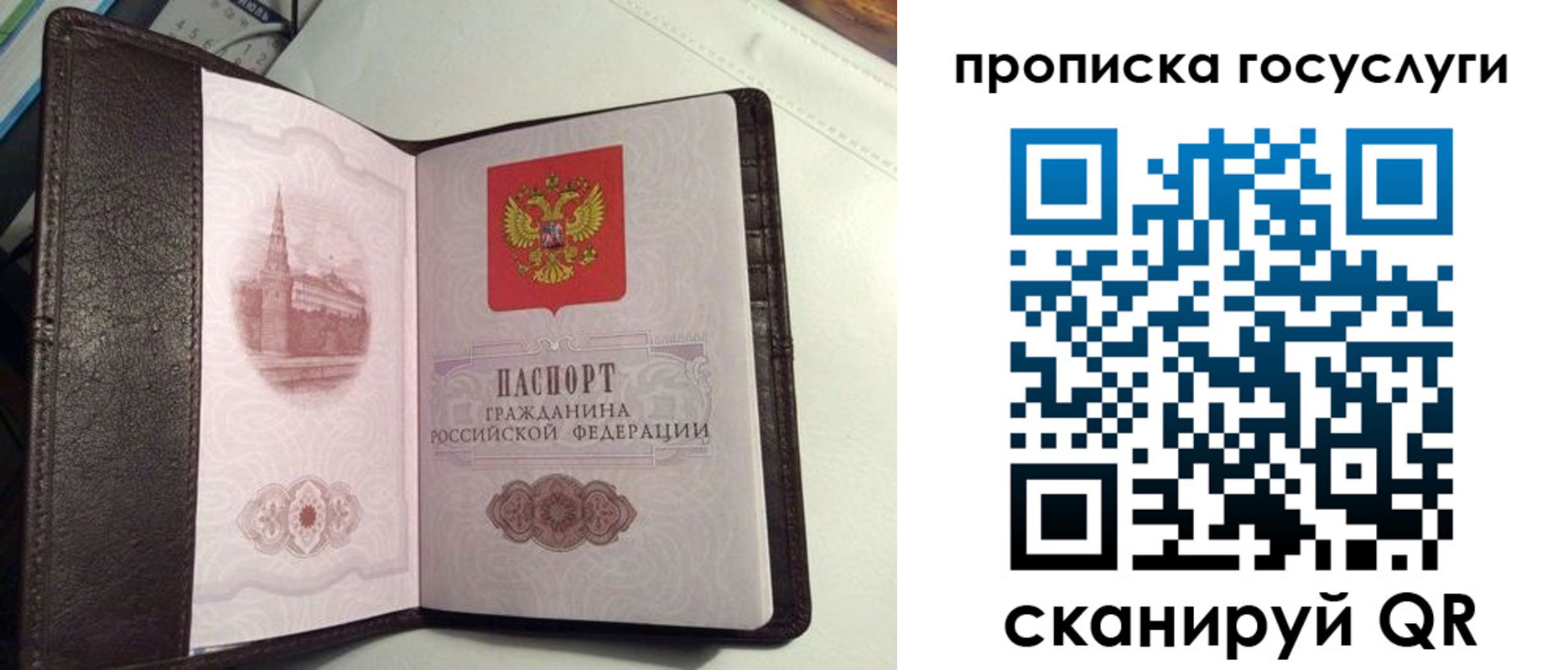 временная прописка в Белгородской области